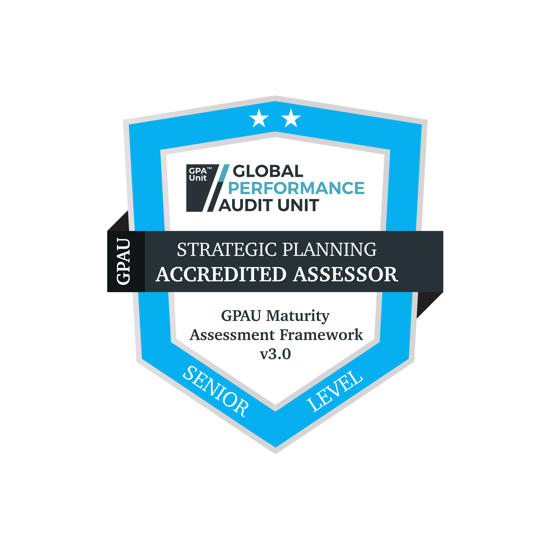 Accredited Assessor Badges 01 Strategic Planning 02 Senior Level badge